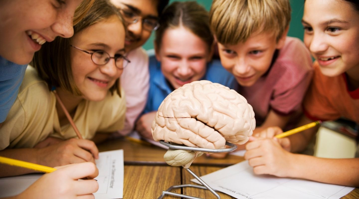 Intervención cognitiva en el contexto escolar: Una guía práctica